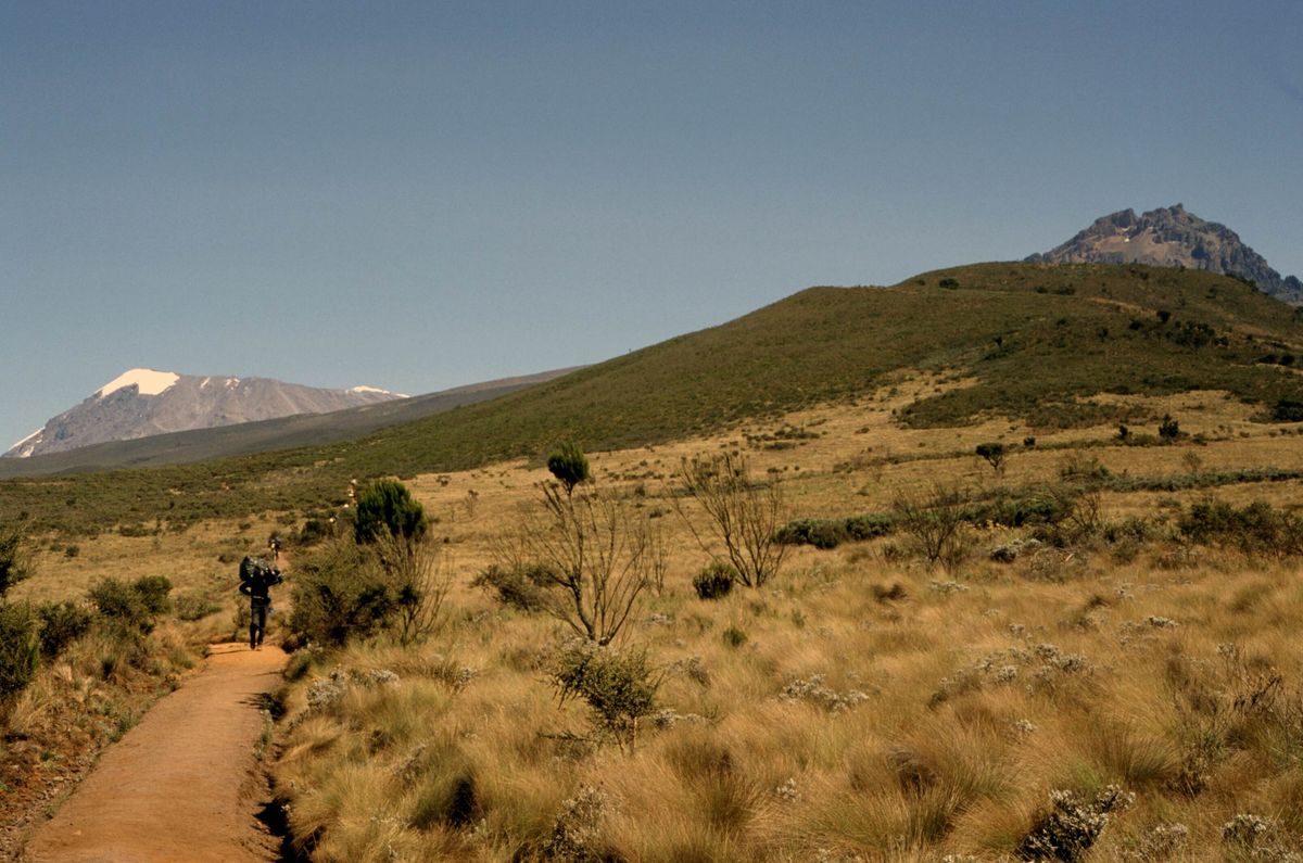 Mount Kilimanjaro Marangu Route