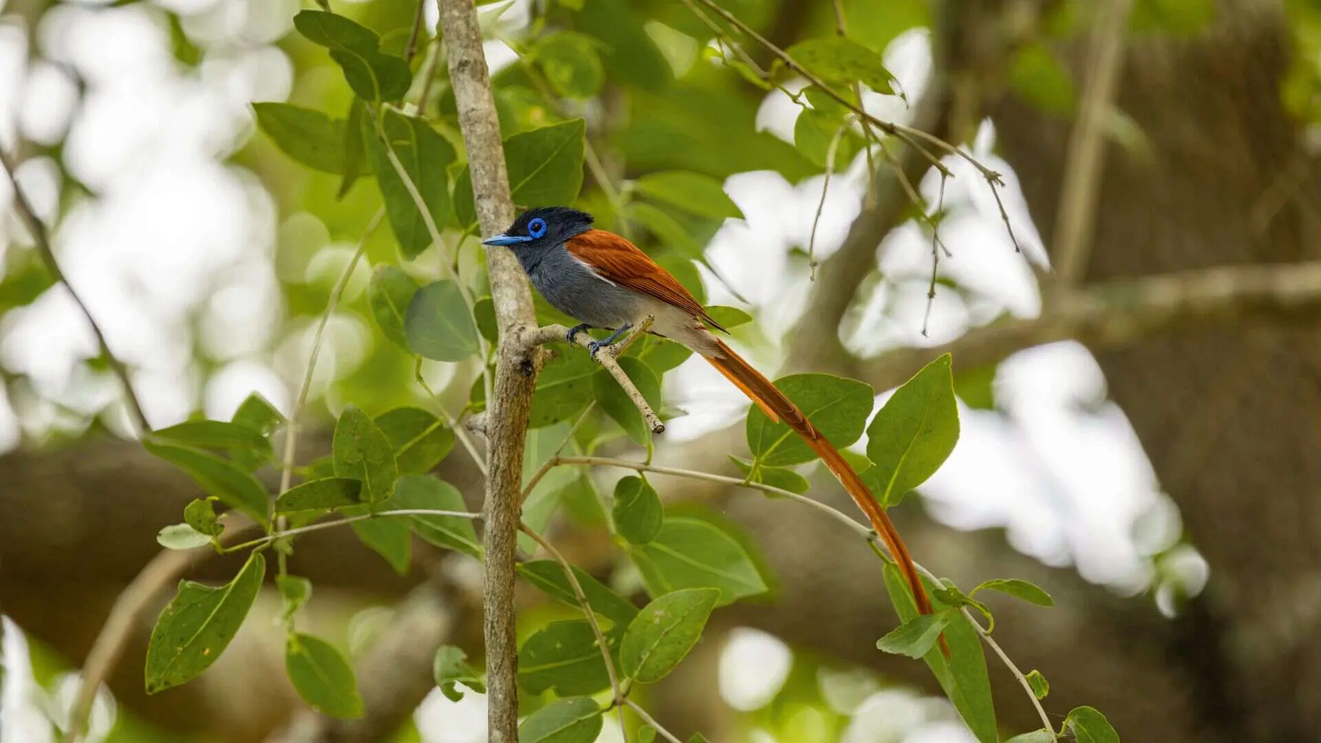 Southern Tanzania