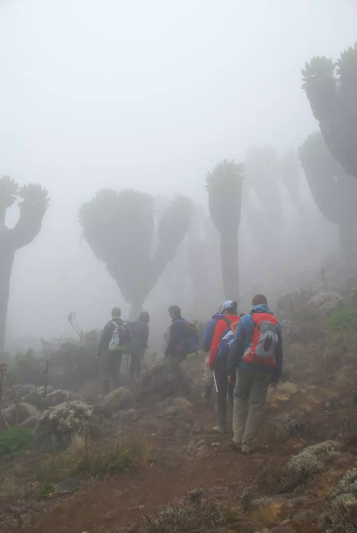 Mount Kilimanjaro Machame Route