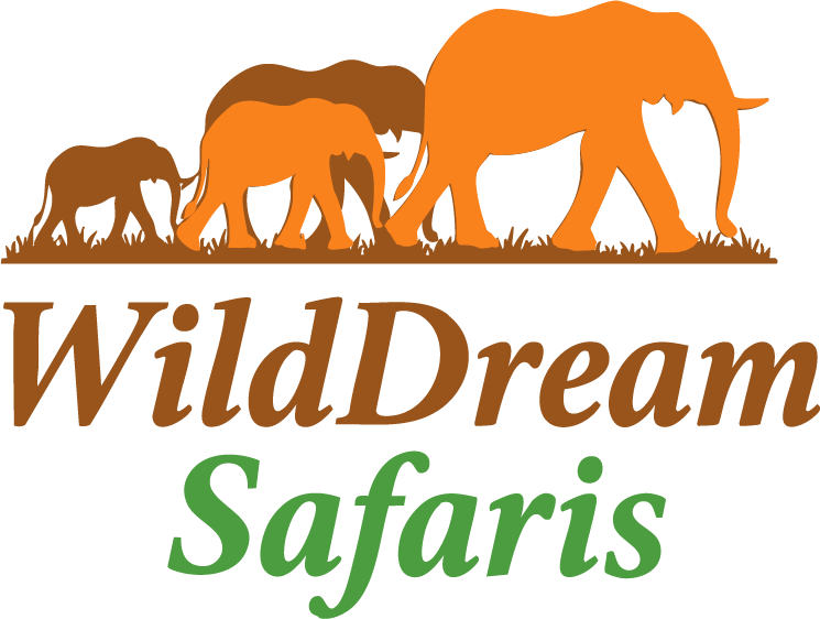 Wilddream Safari