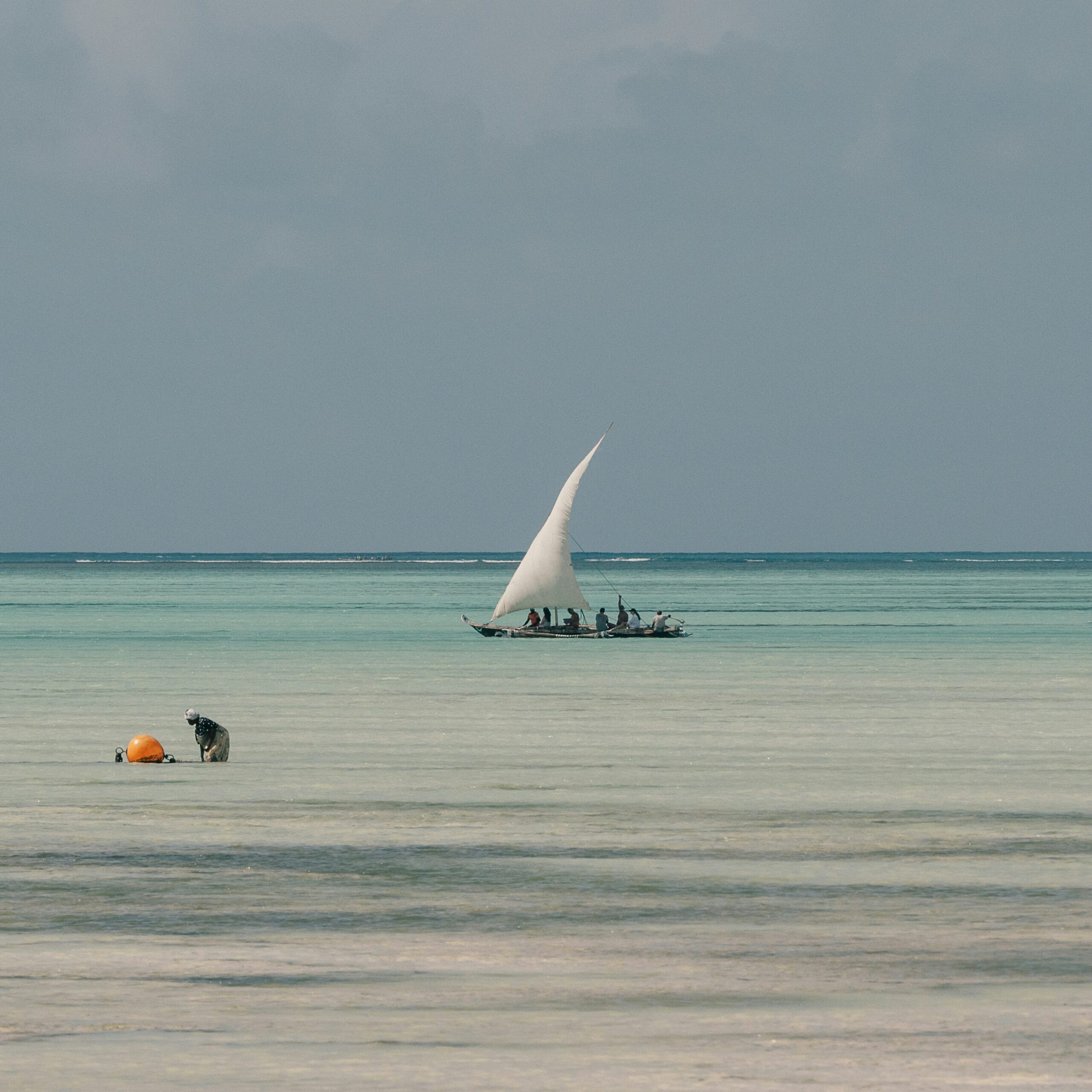 Tanzania safari and Zanzibar