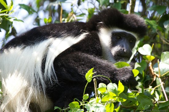 Arusha Tanzania