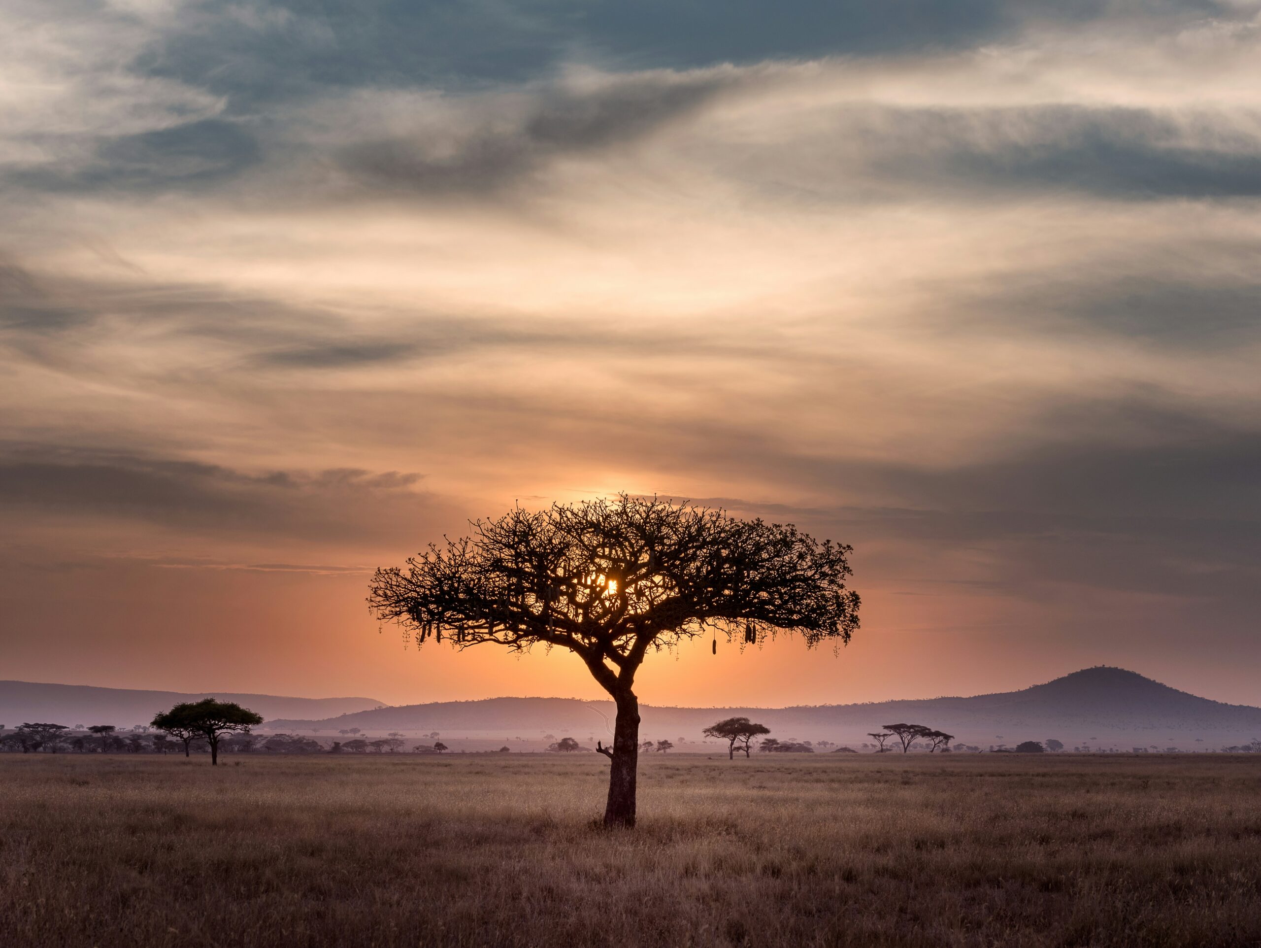Sunrise Serengeti Tanzania