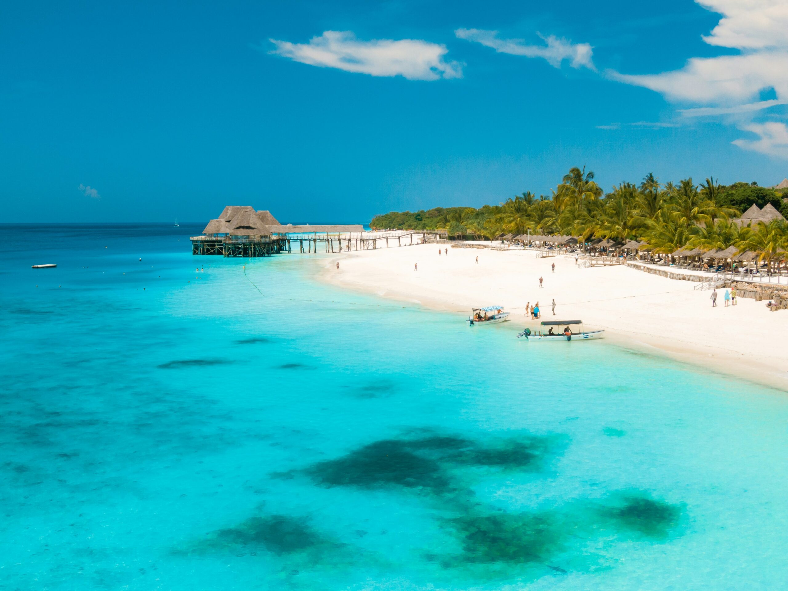 Tanzania safari and Zanzibar