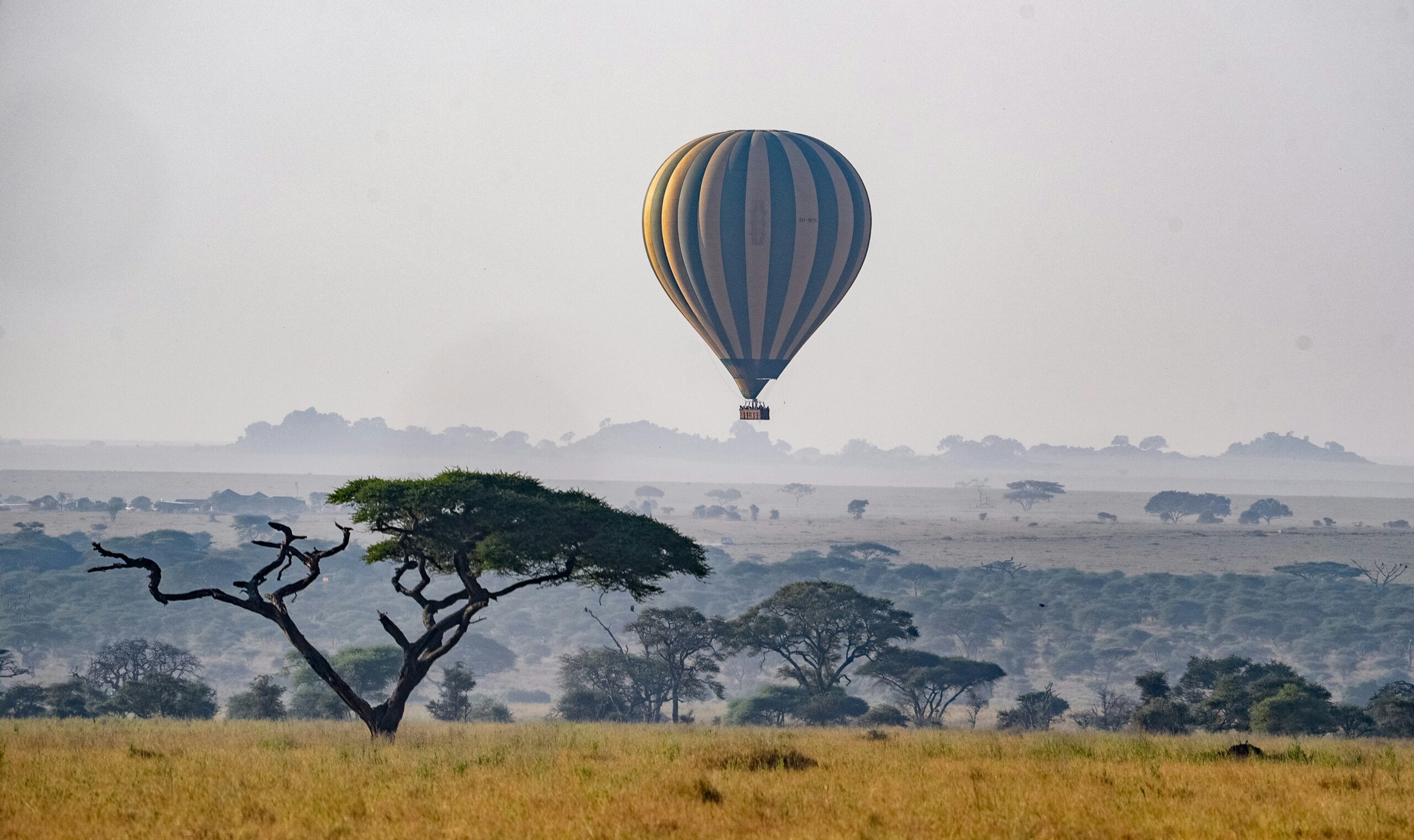 Northern Tanzania safari
