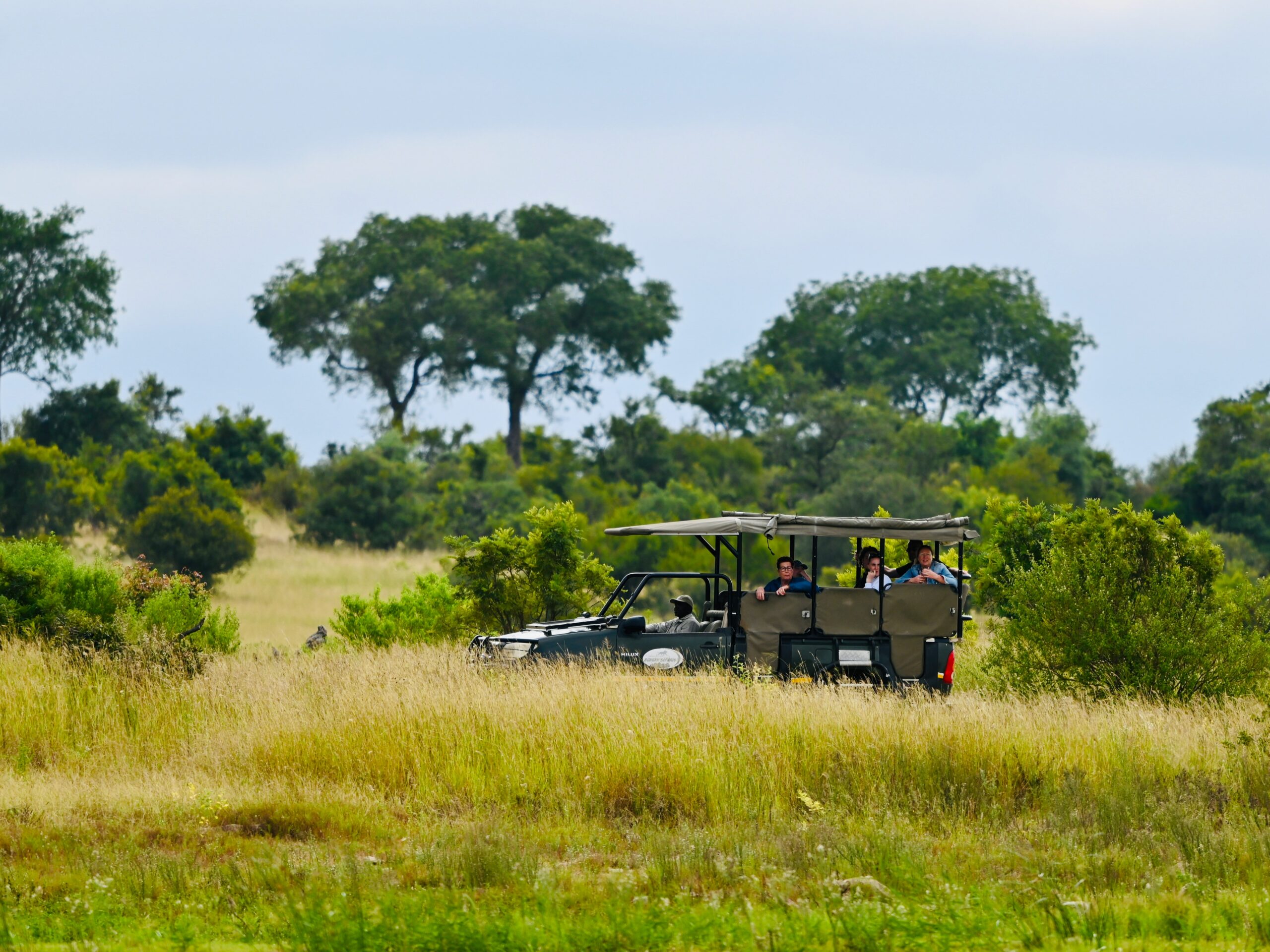 Wilddream Safari guide in Tanzania
