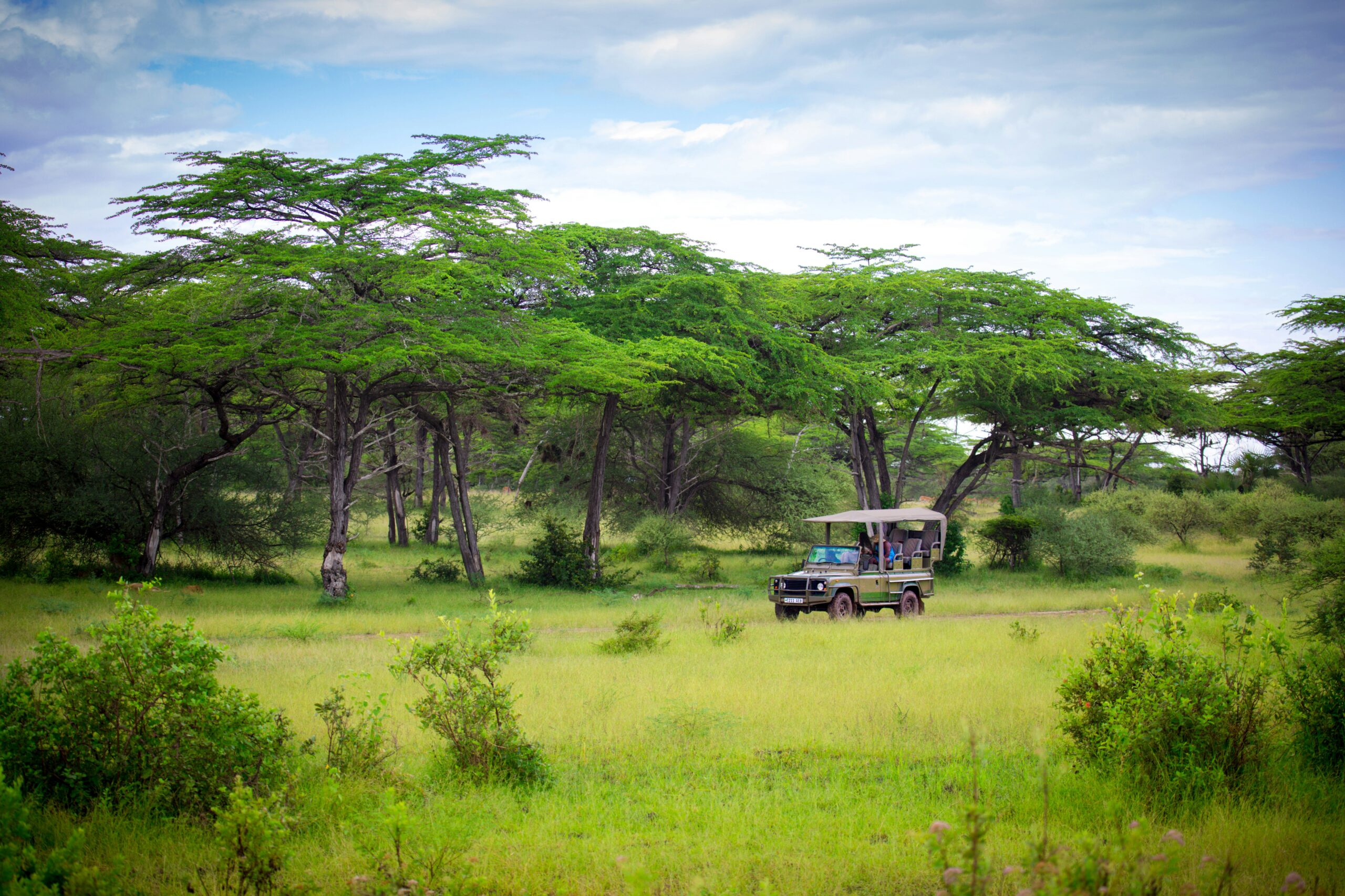 Wildlife game drive Tanzania