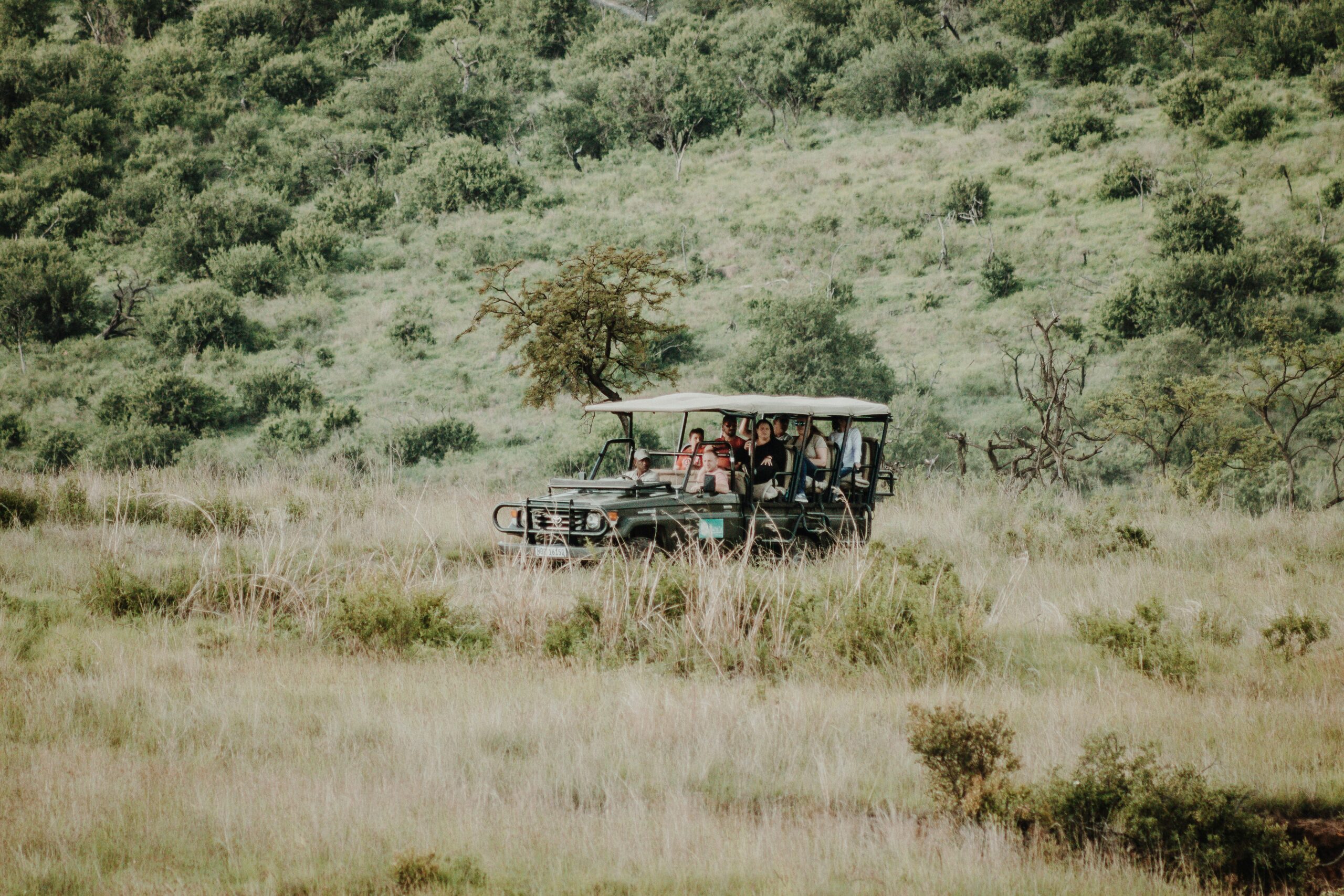 Family safari in Tanzania