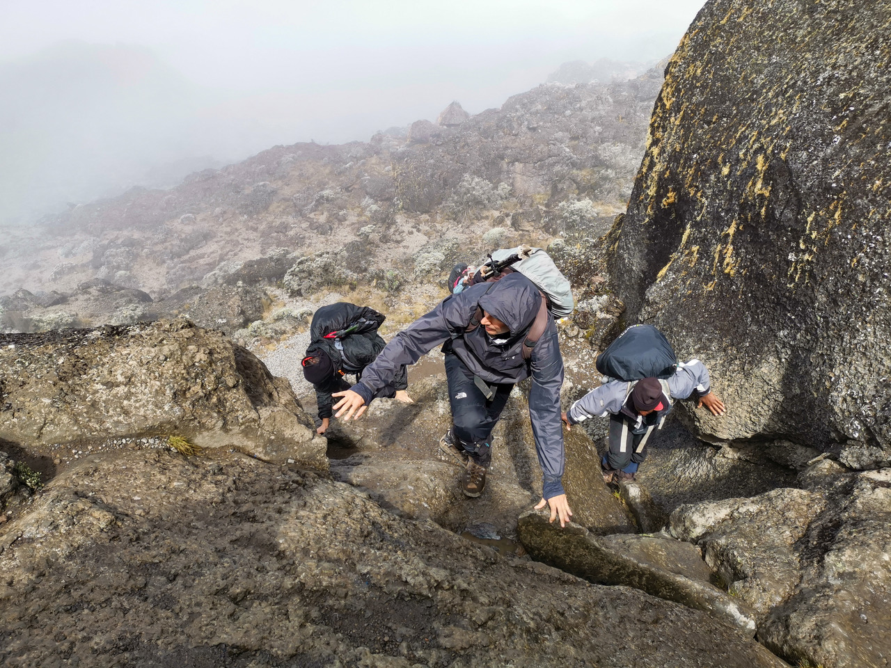 Mount Kilimanjaro trekking